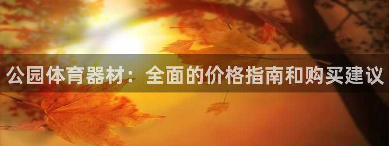 极悦平台股东是谁：公园体育器材：全面的价格指南和购买
