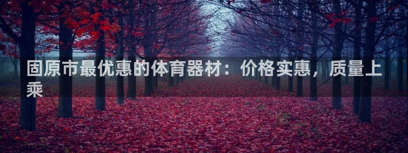 极悦娱乐会被骗吗是真的吗：固原市最优惠的体育器材：价