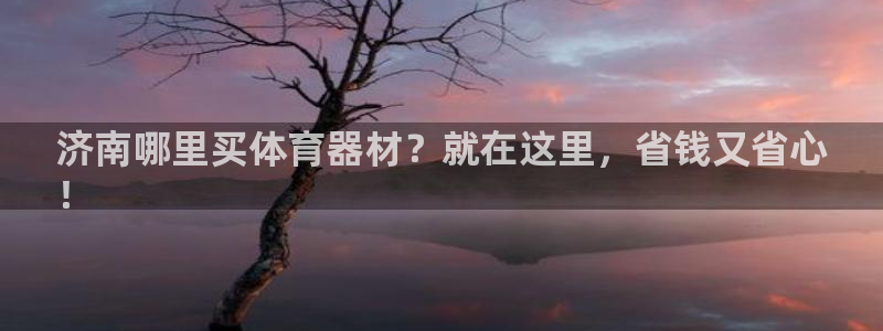 极悦平台注册申请流程详解视频：济南哪里买体育器材？就