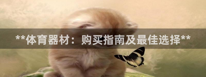 极悦平台注册官方网站下载安卓版：**体育器材：购买指