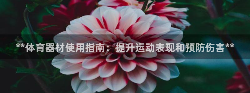 极悦官网入口登录：**体育器材使用指南：提升运动表现