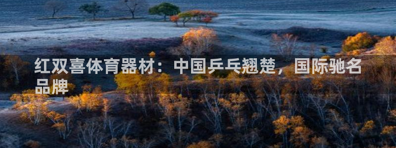 极悦平台注册流程详解图片：红双喜体育器材：中国乒乓翘