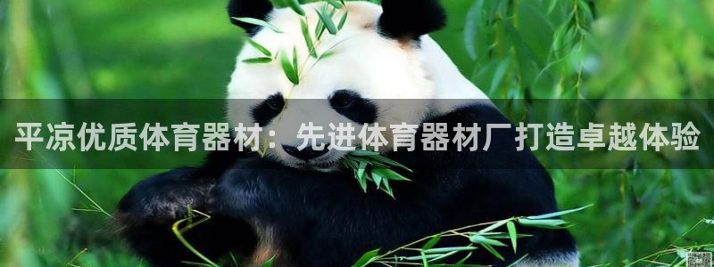 极悦平台官方网站下载安卓：平凉优质体育器材：先进体育