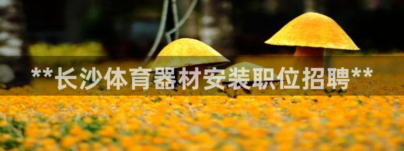 极悦娱乐会被骗吗知乎小说：**长沙体育器材安装职位招