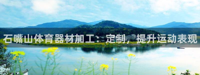 极悦官网首页：石嘴山体育器材加工：定制，提升运动表现