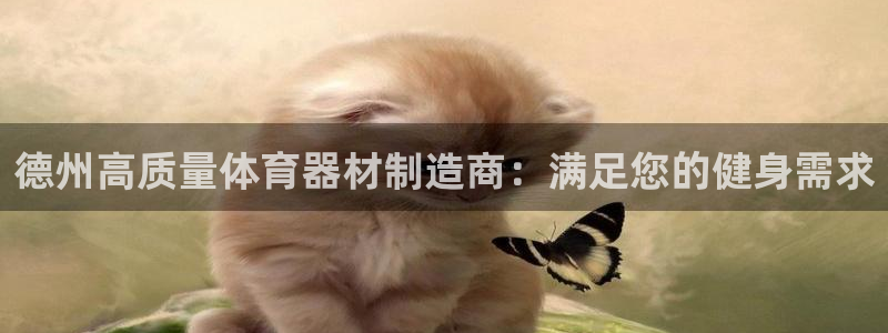 极悦平台注册登录不了：德州高质量体育器材制造商：满足