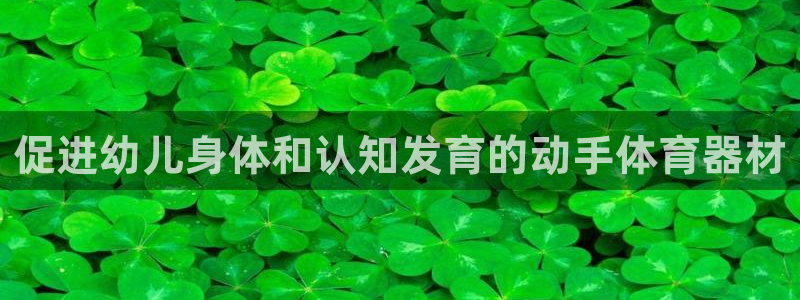 极悦平台客服团队：促进幼儿身体和认知发育的动手体育器