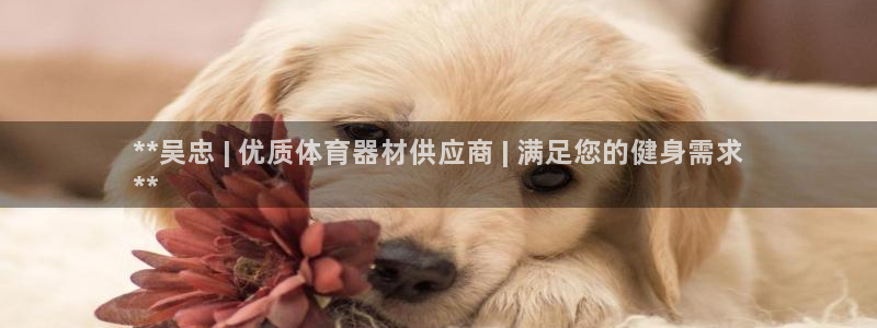 极悦官方网站app下载：**吴忠 | 优质体育器材供