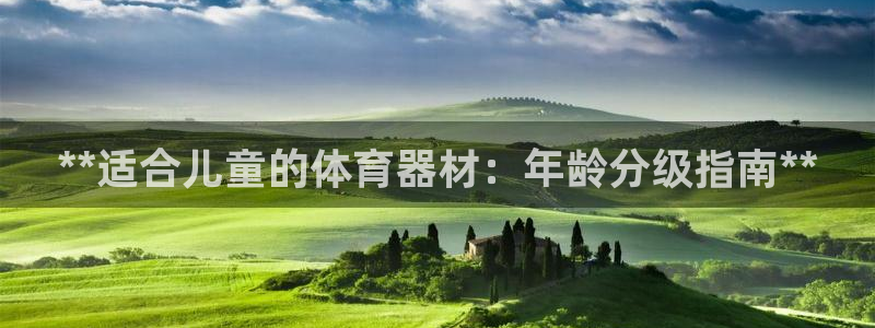 极悦平台和蓝狮平台区别在哪：**适合儿童的体育器材：