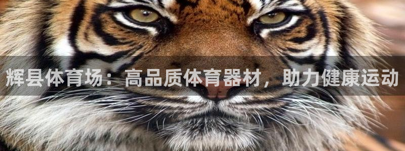 加盟极悦教育：辉县体育场：高品质体育器材，助力健康运