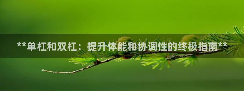 极悦平台注册登录：**单杠和双杠：提升体能和协调性的