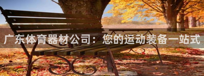 极悦娱乐app官方版本更新内容在哪：广东体育器材公司