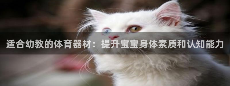 极悦平台注册流程视频：适合幼教的体育器材：提升宝宝身