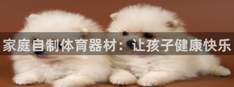 极悦平台注册太7.0.2.4好用吗：家庭自制体育器材