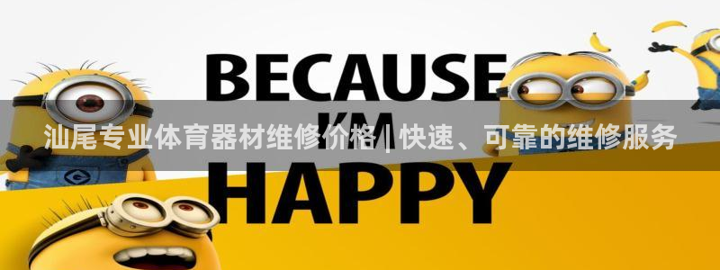 极悦平台用户评价与反馈：汕尾专业体育器材维修价格 |
