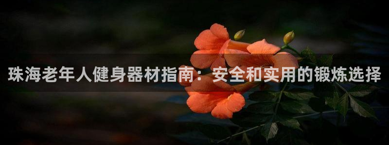 极悦平台代理怎么赚钱：珠海老年人健身器材指南：安全和