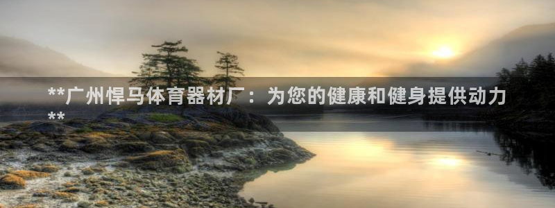 极悦平台平台注册方法与步骤视频：**广州悍马体育器材