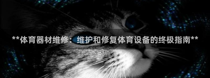 极悦平台官网入口登录：**体育器材维修：维护和修复体