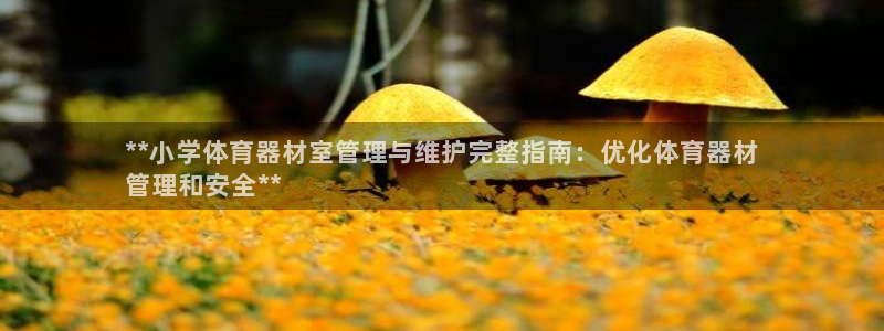 极悦平台注册官网下载：**小学体育器材室管理与维护完