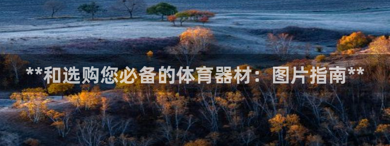 极悦平台官网登录网址查询：**和选购您必备的体育器材