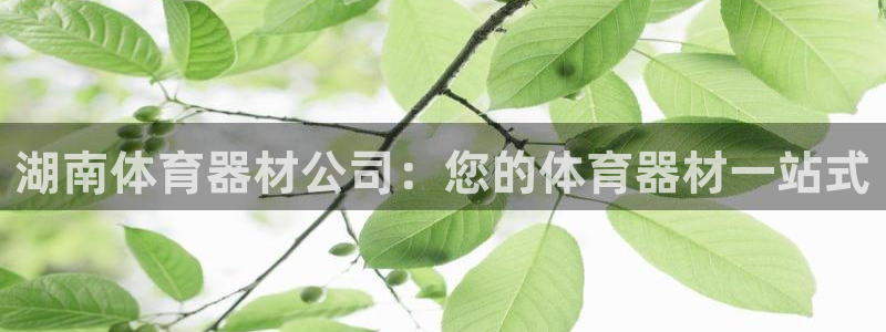 极悦娱乐贴吧最新消息：湖南体育器材公司：您的体育器材