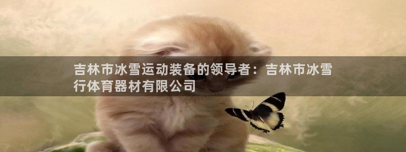 极悦娱乐代理怎么样：吉林市冰雪运动装备的领导者：吉林