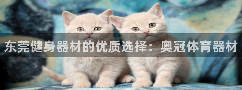 极悦娱乐的创始人背景故事：东莞健身器材的优质选择：奥