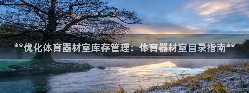 极悦平台客服团队介绍：**优化体育器材室库存管理：体