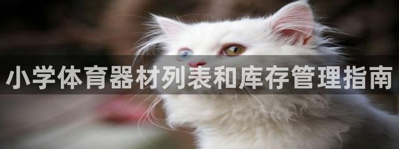 极悦娱乐app官方版本更新内容：小学体育器材列表和库