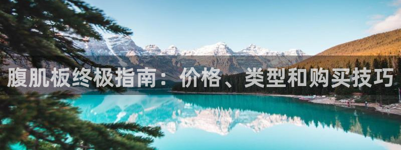 极悦平台注册官网下载：腹肌板终极指南：价格、类型和购