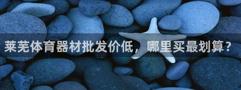 极悦平台注册登录入口在哪：莱芜体育器材批发价低，哪里