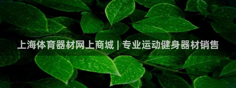 极悦官网首页登录入口网址：上海体育器材网上商城 | 