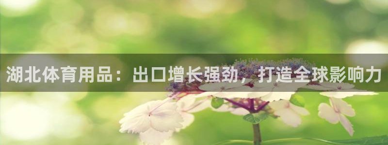 极悦平台app二维码怎么弄的：湖北体育用品：出口增长