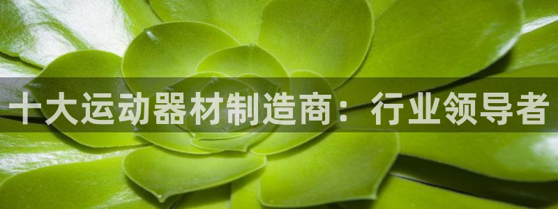 极悦娱乐股东结构：十大运动器材制造商：行业领导者