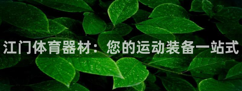 极悦娱乐官网下载app：江门体育器材：您的运动装备一