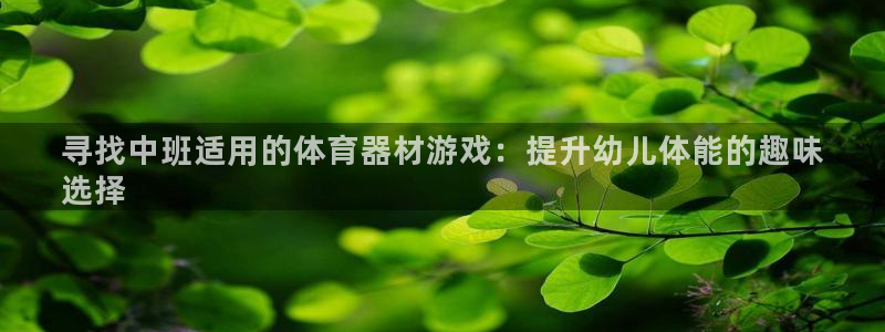 极悦平台用户评价与反馈：寻找中班适用的体育器材游戏：