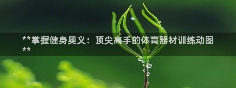 极悦平台创始人背景故事是什么：**掌握健身奥义：顶尖