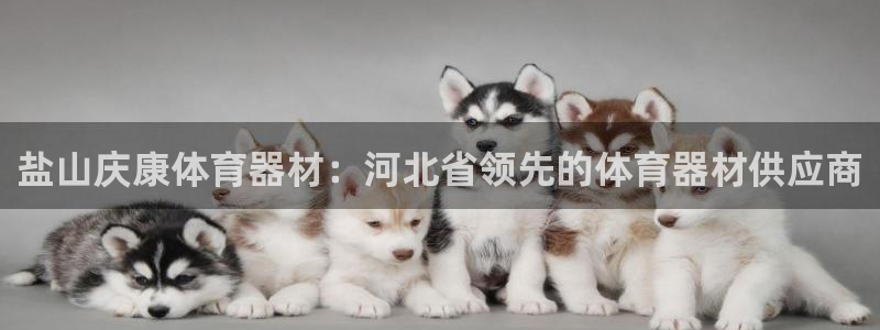 极悦官网入口登录：盐山庆康体育器材：河北省领先的体育