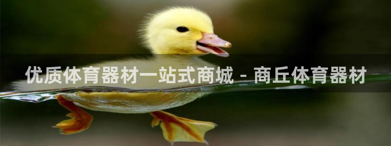 极悦平台官方网站下载安装：优质体育器材一站式商城 -