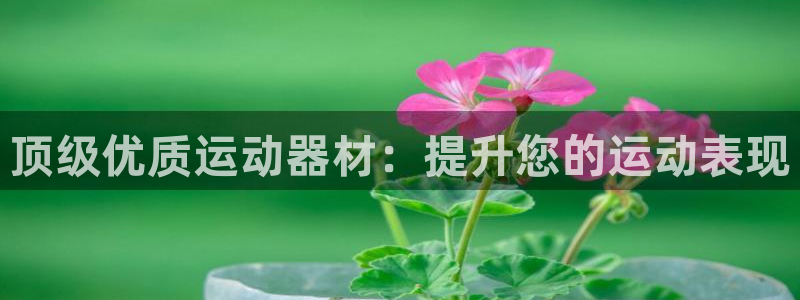 极悦平台注册流程图片：顶级优质运动器材：提升您的运动