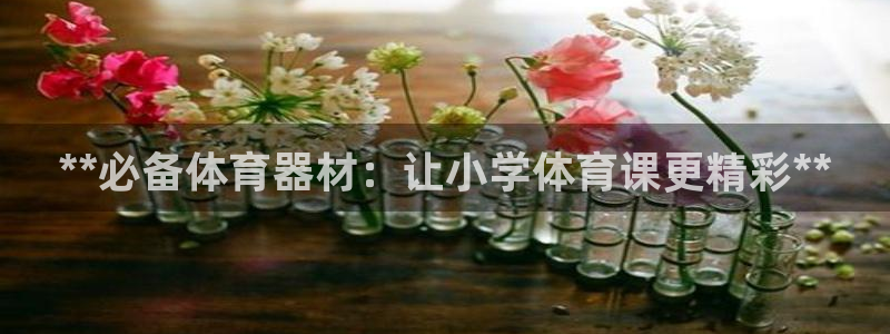 极悦官网注册最新版本更新内容是什么：**必备体育器材