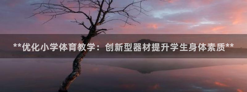 极悦平台是干嘛的：**优化小学体育教学：创新型器材提