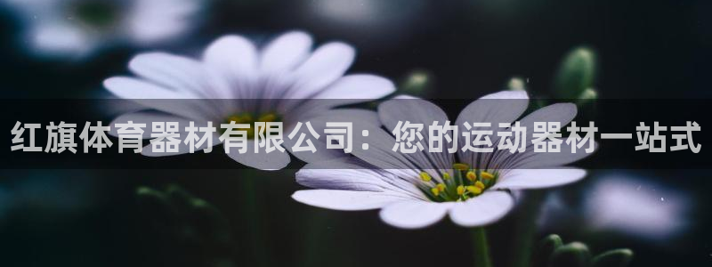 极悦娱乐的背景和历史背景：红旗体育器材有限公司：您的