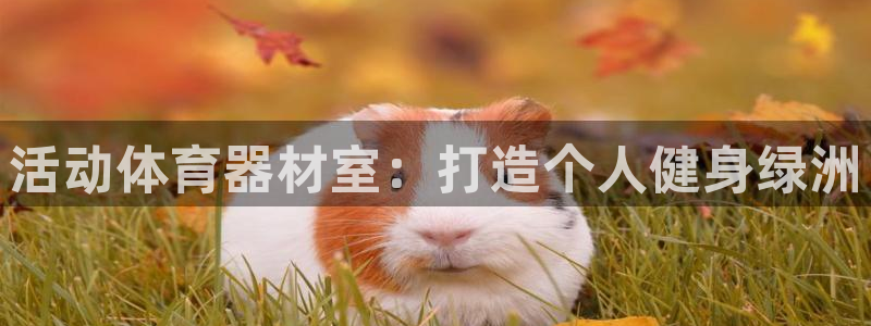 极悦平台官方网址是多少：活动体育器材室：打造个人健身