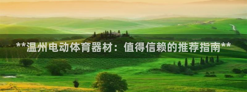 极悦平台官方网址查询：**温州电动体育器材：值得信赖
