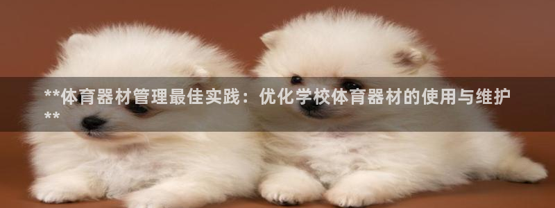 极悦娱乐的背景和历史背景介绍：**体育器材管理最佳实
