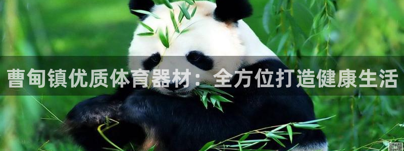 极悦官网登录：曹甸镇优质体育器材：全方位打造健康生活