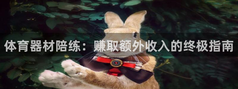 极悦官方网站app下载安装：体育器材陪练：赚取额外收