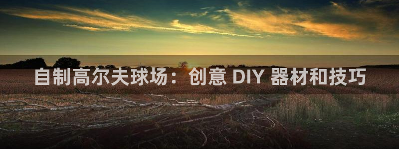 极悦娱乐官网入口下载：自制高尔夫球场：创意 DIY 