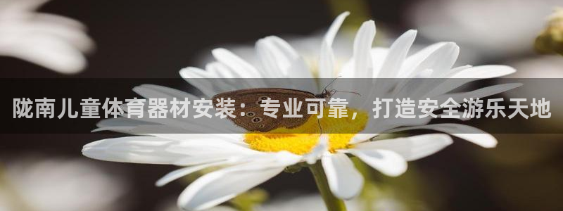 极悦平台客服团队：陇南儿童体育器材安装：专业可靠，打